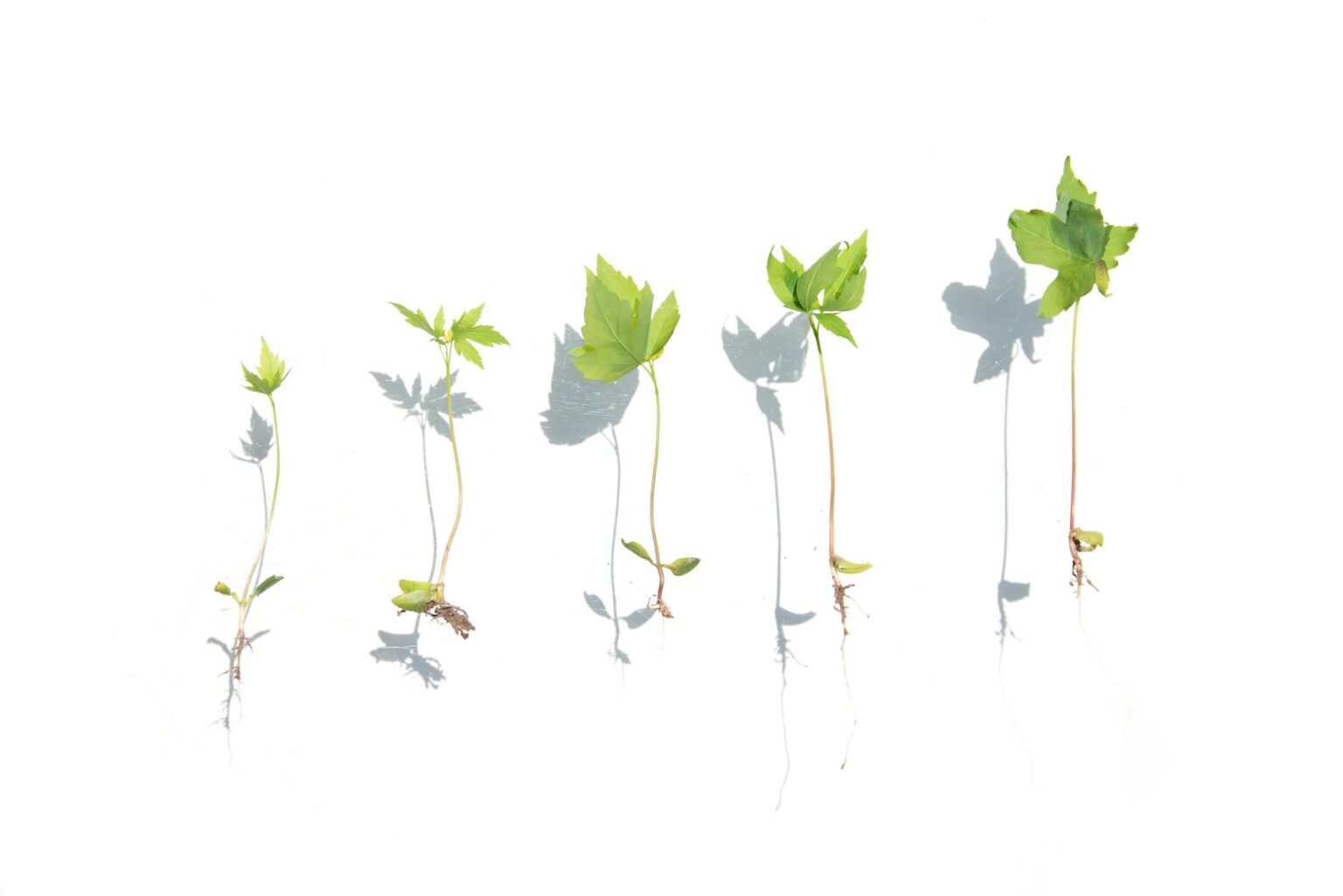 Group fitness spinning class with instructor leading energetic workout session