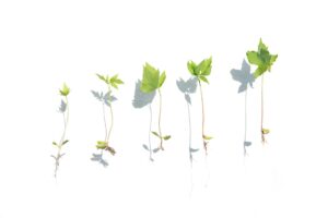 Group fitness spinning class with instructor leading energetic workout session