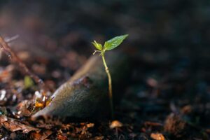 Close-up view of aluminum beverage cans arranged together, showing metallic reflective surfaces