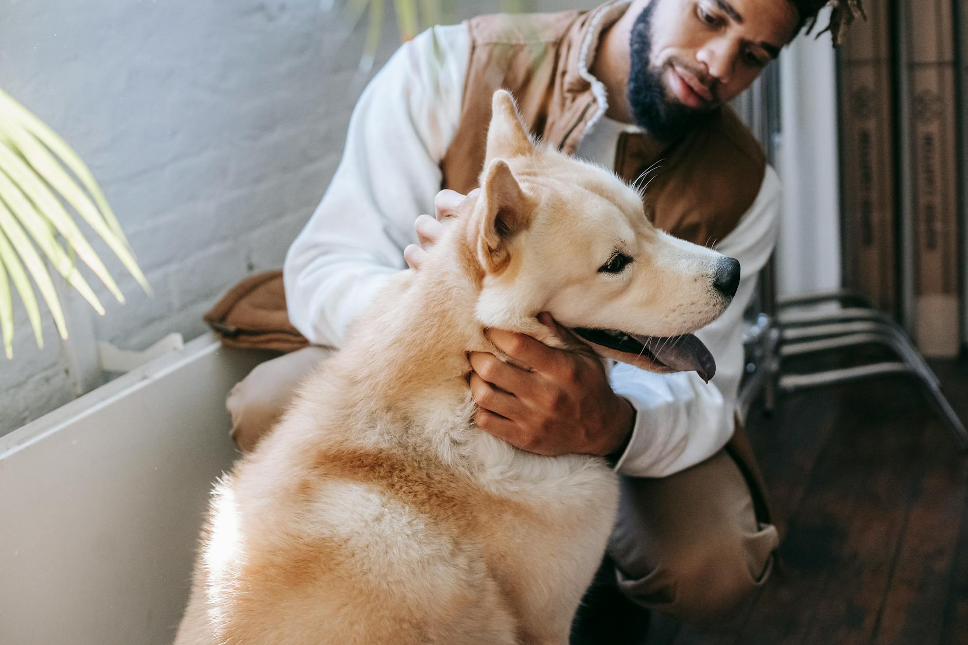 Happy pet owner holding small dog, representing the emotional bond between pets and their families
